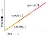 Gradual evolution