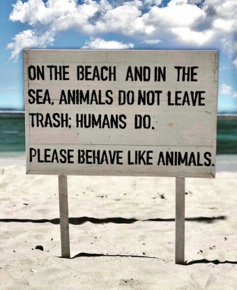 69279157_497053494421347_7591158309532830024_n